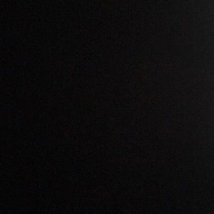 Meet your Posher, Reagan